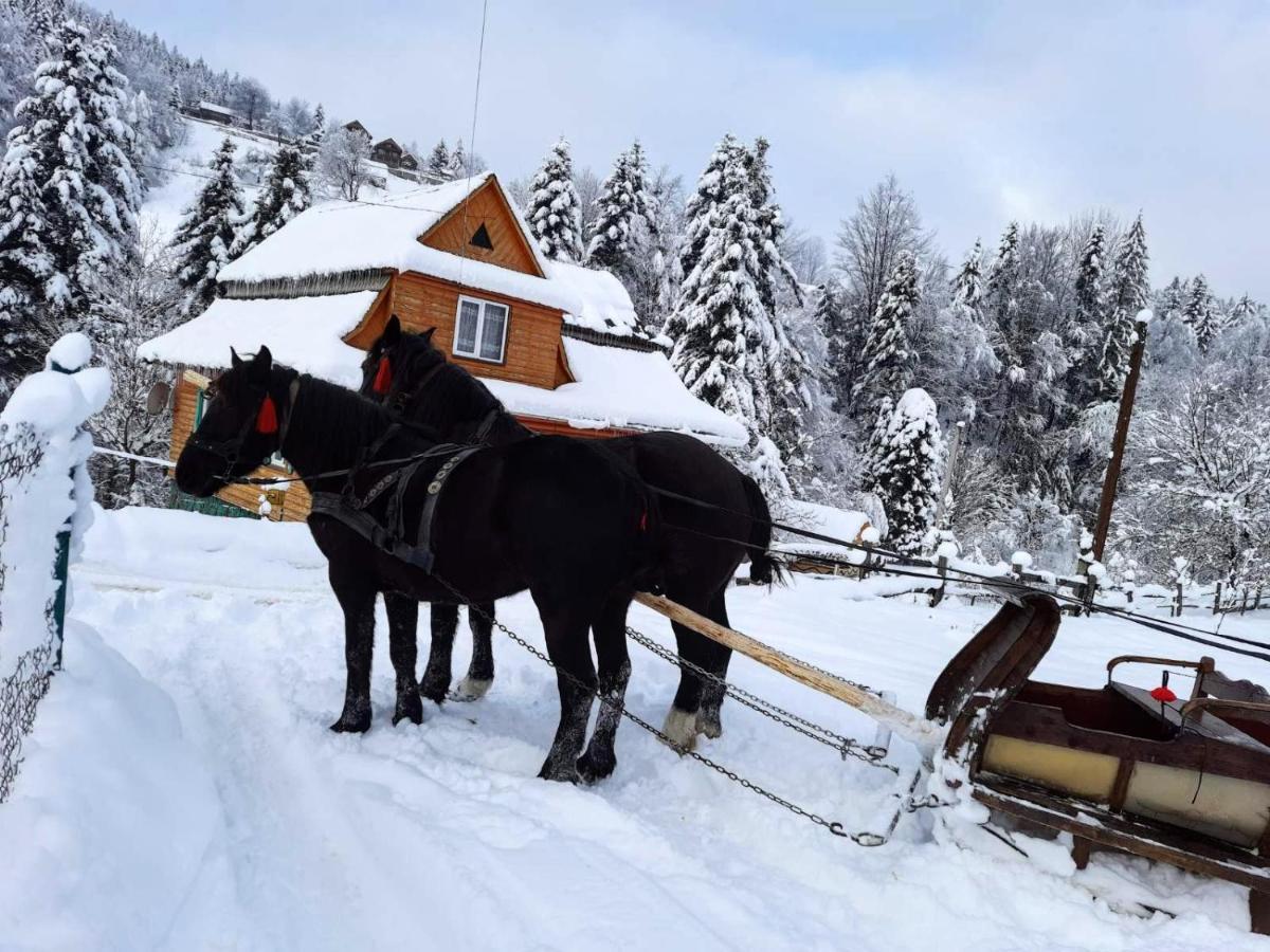 Cottage "Kliverent" Яремче Екстериор снимка